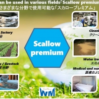 Scallow 预防食物中毒、病毒感染、感冒等，去除异味